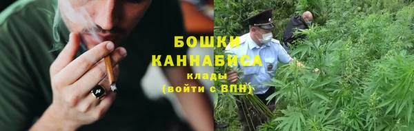 мет Алексин